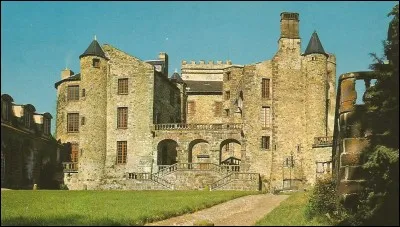 Il domine la vallée du Sardon, c'est le château de....