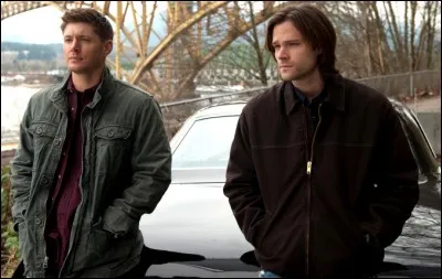 Quel lien unit les deux personnages principaux ?