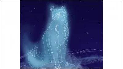 Le Clan des Étoiles ou la Forêt Sombre ? Quel clan préfères-tu ?