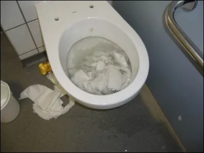 Si vos canalisations sont bouchées et que vous avez du mal à extraire le bouchon, faites appel à mes services. Je suis :