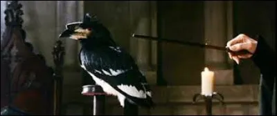 Donne l'&eacute;tymologie de "m&eacute;tamorphose".