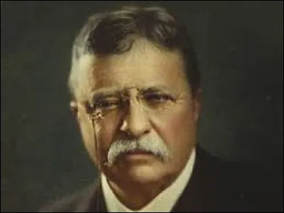 Ce personnage de légende est un des présidents les plus populaires des USA. Vice-président sous McKinley, il a aussi été écrivain, naturaliste (zones naturelles d'un million de km² protégées), explorateur (Afrique, Amazonie) et soldat (à la tête des Rough Riders) puis il a reçu le Nobel de la paix.
Pas étonnant qu'on le retrouve sur le Mont Rushmore et qu'on vende encore des Teddy bears !