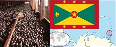 À peine éloigné d'un jet de noix de cajou d'ici, nous retrouvons Laurent Voulzy et son cur ... [Complétez !]