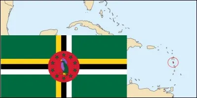 Avant un fameux dimanche (Domingo), l'île de la Dominique fut habitée par des amérindiens de culture "saladoïde". Pourquoi ce nom ?