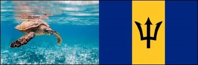 Autres rivages paradisiaques : La Barbade, dont voici une image. Que dites-vous de son drapeau ?