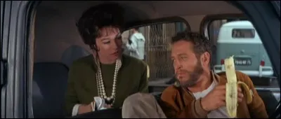 Dans un film sorti en 1964, c'est Paul Newman qui interprète un peintre, Larry Flint, sans succès jusqu'à ce qu'il épouse Shirley Mac Laine. Ce film au casting impressionnant a pour titre... ?