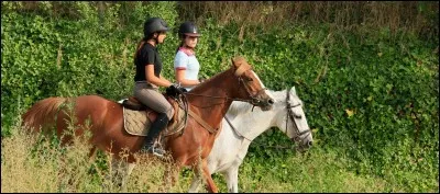 Ta discipline équestre préférée est...