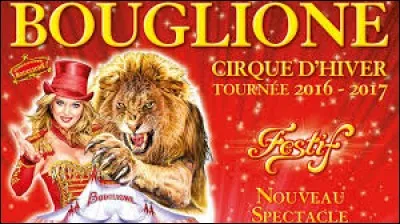 Triste spectacle au cirque Bouglione pendant le numéro des fauves : le lion fuis très vite et les foules de spectateurs son brisées.