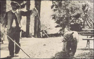 Vraiment courageux et surtout pour donner des frissons aux enfants qui assistaient au spectacle : il mettait sa tête dans sa gueule.