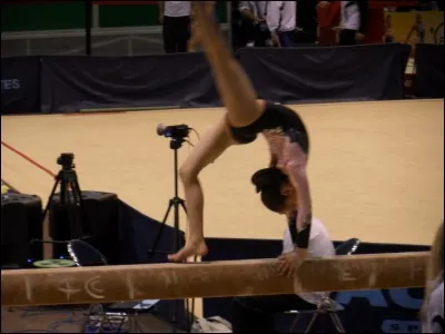 Quelle est cette figure ?