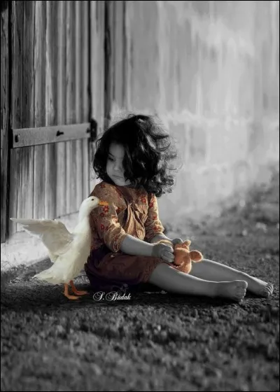 Dans le roman de Selma Lagerlof, de quel vol d'oiseaux profite Nils Holgersson pour faire son merveilleux voyage ?