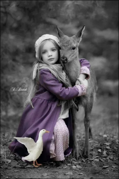 Dans l'animé de Walt Disney, qui est Féline ?