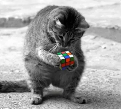 Dans quelle fable de La Fontaine rencontre-t-on Raminagrobis ?