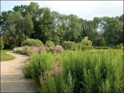 Gélaucourt est un minuscule village, une soixantaine d'habitants. Où est situé ce village qui collectionne les récompenses en matière de fleurissement, quatre fleurs et un grand prix au Concours des villes et villages fleuris de France ?