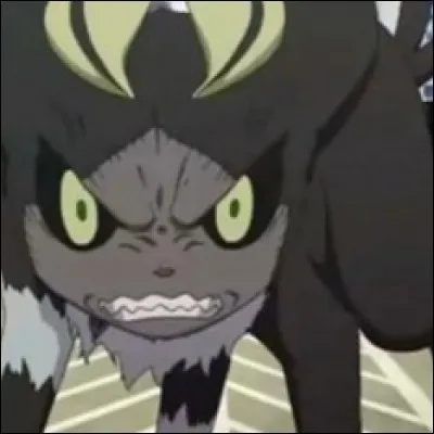 Ce chat géant s'appelle Kuro ; récemment il a perdu son propriétaire mais en a trouvé un autre. Qui est-ce ?