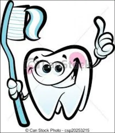 Le cément de la dent est la partie à la limite entre la couronne et la racine.