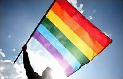 Que symbolise ce drapeau se terminant par une bande violette ?