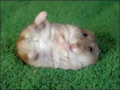 Cette position est-elle naturelle ?