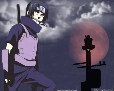 Quelle est l'immatricule ninja d'Itachi ?