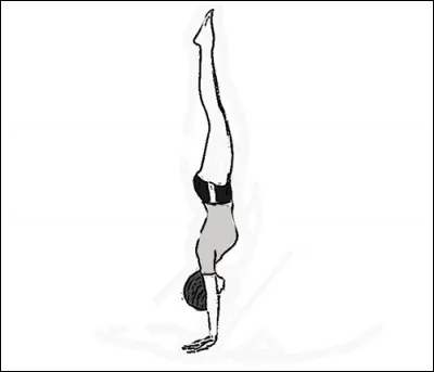 Quelle est cette figure ?