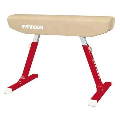 Les garçon l'utilisent à la gym :