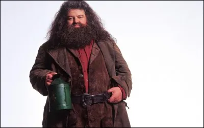 Qui est Hagrid (livre et film) ?