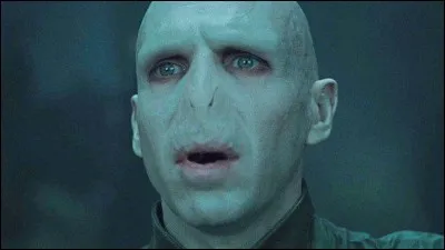 Qui est le premier professeur de défense contre les forces du mal qui habitent Voldemort ?