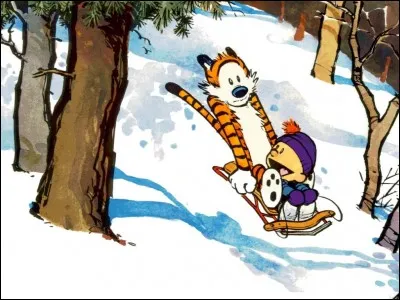 C'est une peluche de tigre bien en vie, du moins du point de vue de Calvin. La série a connu un énorme succès et les discussions entre ces deux protagonistes ne sont pas seulement humoristiques mais, de portée sociale, estime-t-on...