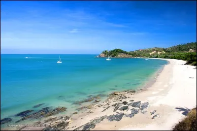 Te débrouilles-tu bien dans la nature ?