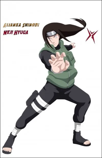 De quoi parle Neji Hyuga lors de son combat contre Naruto ?