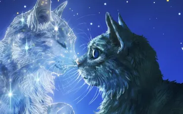Quiz Erin hunter