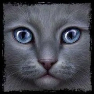 Quel est le titre du livre dont je me suis servi pour vous faire ce quizz ?