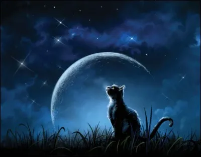 Pourquoi Source Claire est-elle morte pendant leur périple ?