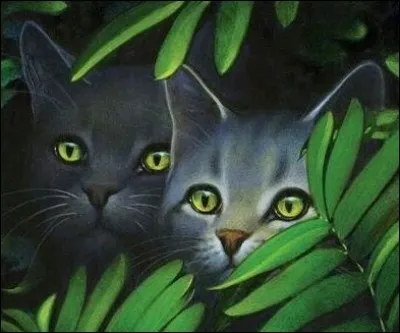 Quel est le chat ayant les sens les plus développés du petit groupe ?