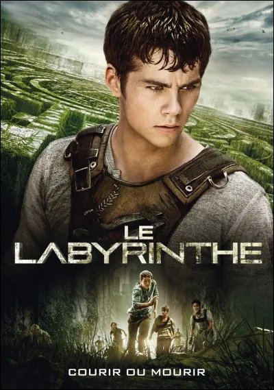 Dans le film "Le labyrinthe" , son personnage se nomme :