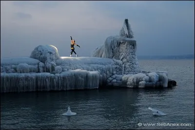 Lequel de ces plats se mange toujours froid ?