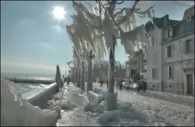Qui jouait dans le film de Bertand Blier "Buffet froid" ?