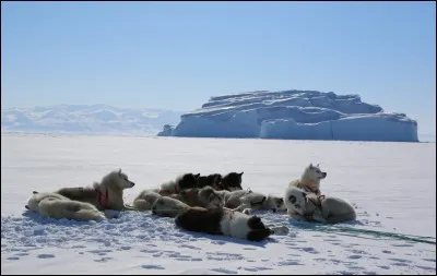 Qui a écrit "Le voyageur du froid" ?