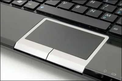 L'image ci-dessus est une souris...