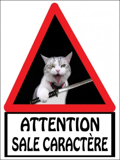 As-tu un bon caractère ?