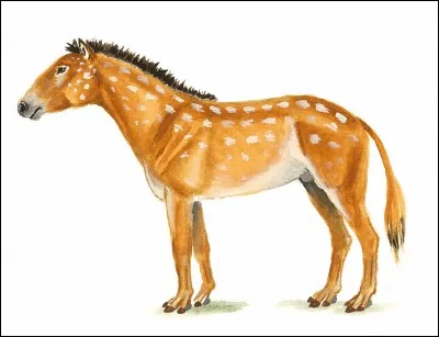 Comment s'appelle le plus vieil ancêtre du cheval ?
