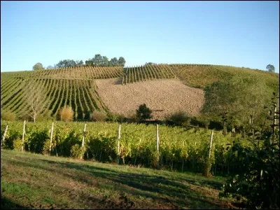 Quel est le nom du vin qui est produit dans les îles Éoliennes ?