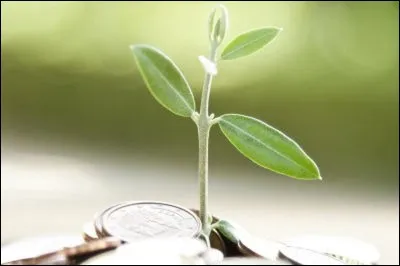 Qui est la lieuse de vie ?