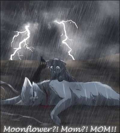 Combien de membres de sa famille sont-ils morts ?