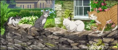 Lequel de ces matous est l'actuel roi des chats ?