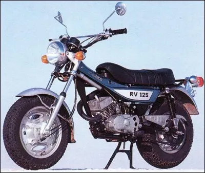 Comment s'appelle cette Suzuki ?
