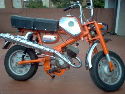 Comment s'appelle cette Benelli ?