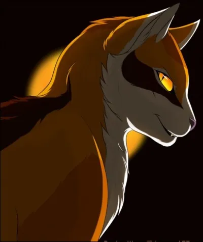 Ombre d'Érable se referme alors sur elle même et devient une chatte errante .