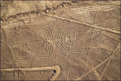Vues du ciel, ces quelques 800 inscriptions sont pour le moins intrigantes : ce sont parfois des représentations d'animaux étalées sur des kilomètres.
Aujourd'hui, on les interprète comme étant des divinités animales.