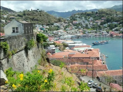 Cette île des Petites Antilles est indépendante depuis 1978. En raison d'abondantes précipitations, on y retrouve des chutes d'eau et des sources thermales.
Le parc national de Morne Trois Pitons est classé au patrimoine mondial naturel.
Christophe Colomb l'avait baptisé ''Domingo'' en l'honneur du jour du Seigneur.